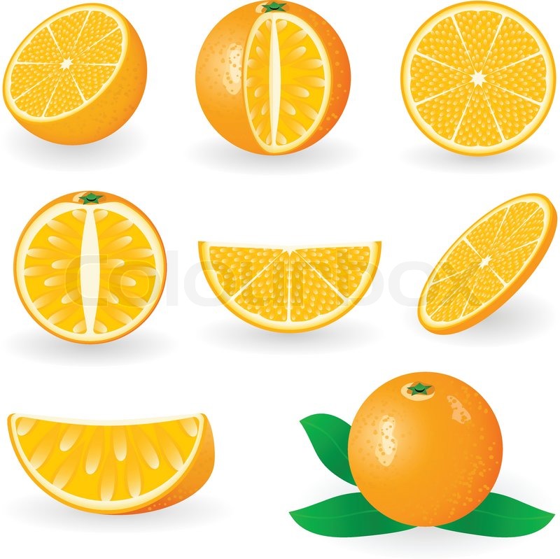 Vector Illustration Of Orange Fruit Stock Vector Colourbox 800x799 Vector Illustration Of Orange Fruit Stock Vector Colourbox