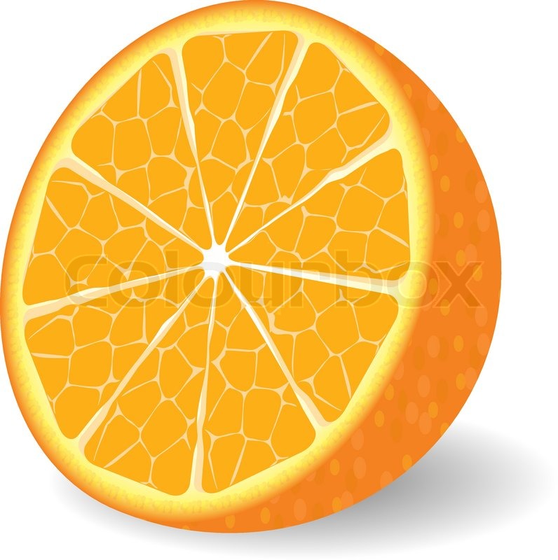 Vector Orange Fruit Stock Vector Colourbox 796x800 Vector Orange Fruit Stock Vector Colourbox