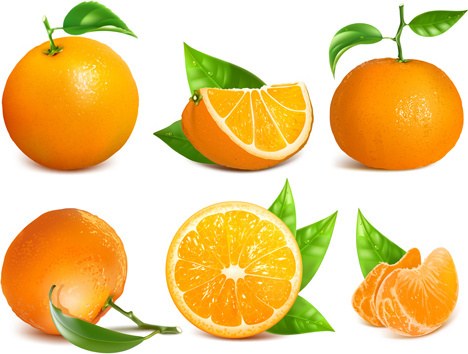 Vector Orange Fruit Leaves Free Vector Download 468x354 Vector Orange Fruit Leaves Free Vector Download