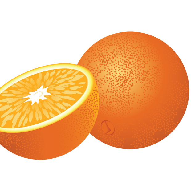 Free Download Of Fresh Orange Fruit Vector Graphic 620x620 Free Download Of Fresh Orange Fruit Vector Graphic