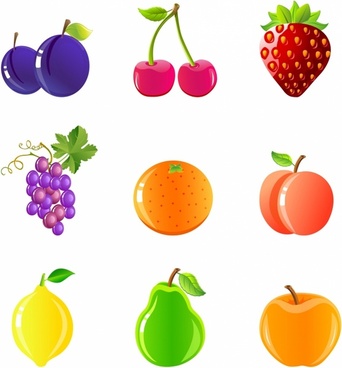 Fruit Free Vector Download 342x368 Fruit Free Vector Download