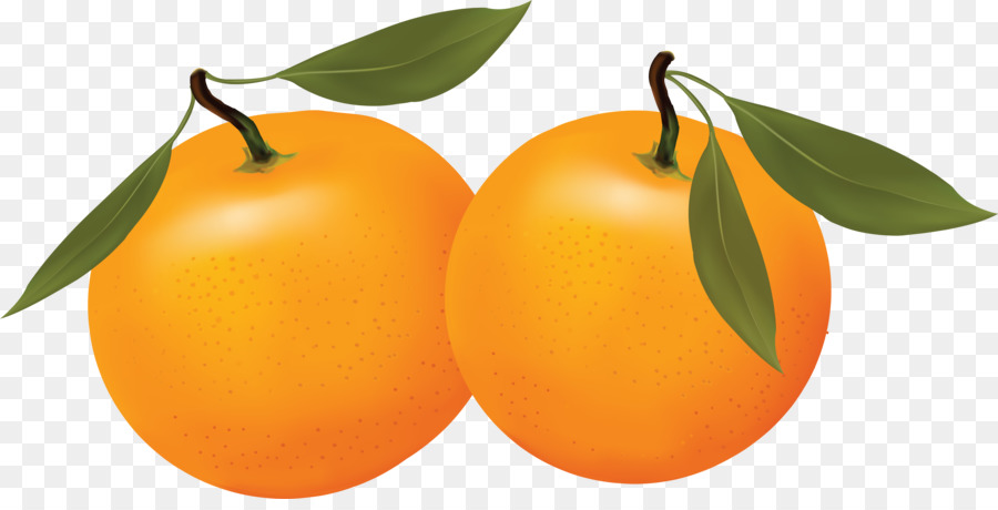 Lemon Tree Clipart 900x460 Lemon Tree Clipart