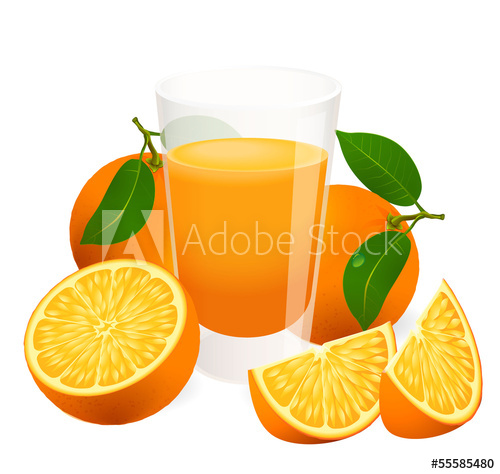 Fresh Orange Juice Vector 500x474 Fresh Orange Juice Vector