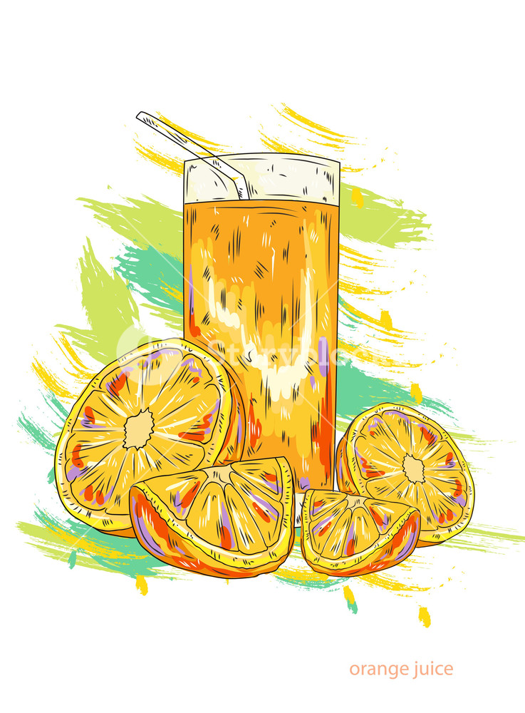 Orange Juice Vector Illustration Royalty Free Stock Image 737x1000 Orange Juice Vector Illustration Royalty Free Stock Image