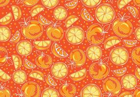 Orange Free Vector Art 286x200 Orange Free Vector Art