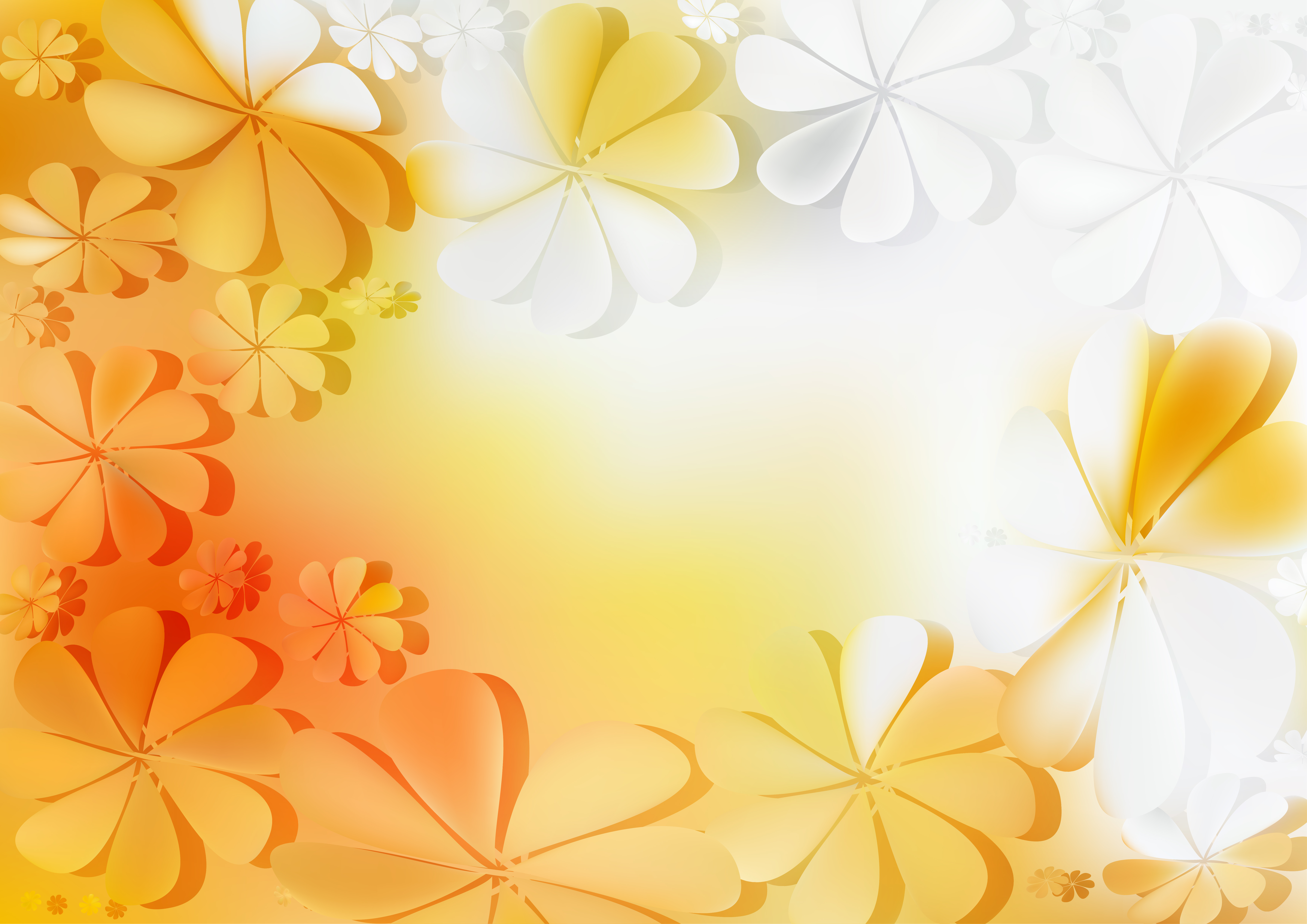 Orange And White Flower Background Vector 7016x4961 Orange And White Flower Background Vector