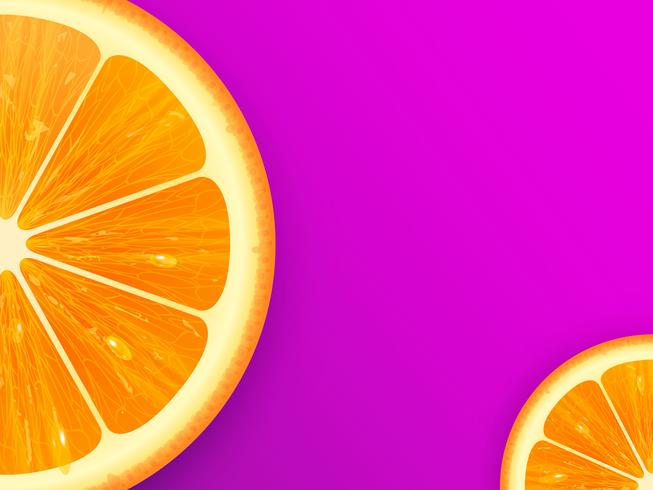 653x490 Orange Slice On Lilac Vector Background