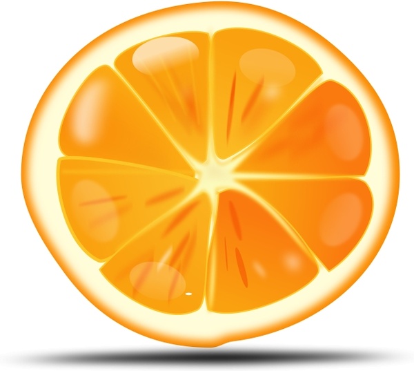 600x537 Orange Slice Free Vector In Open Office Drawing
