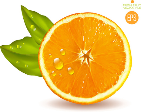 465x368 Orange Slice Vector Free Download Free Vector Download