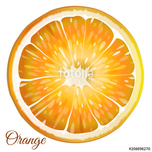 500x500 Orange Slice Vector Illustration Stock Image And Royalty Free