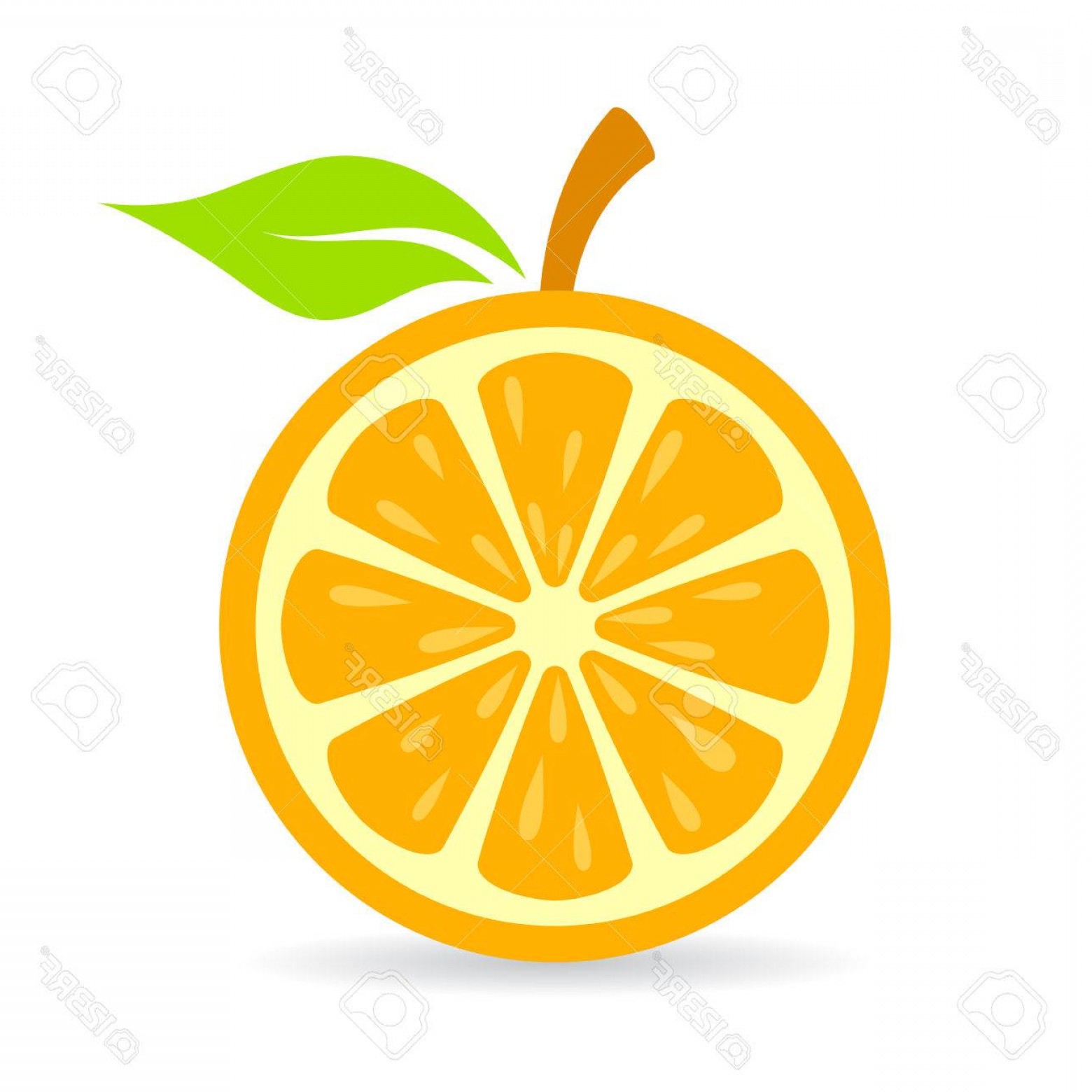 1560x1560 Photostock Vector Orange Slice Vector Icon Wallkeeper