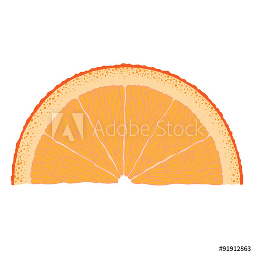 500x500 Hand Drawn Image Of Orange Slice Vector Graphic
