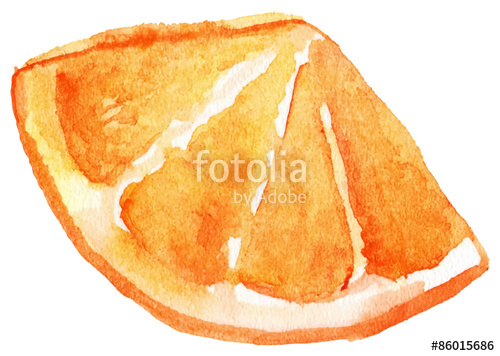500x356 Watercolor Orange Slice Vector Isolated Stock Image And Royalty