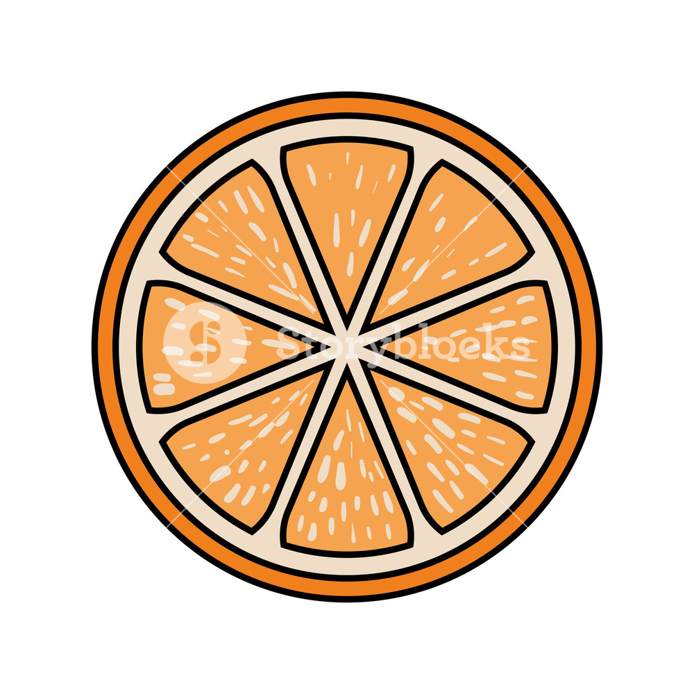 Orange Slice Vector at Collection of Orange Slice