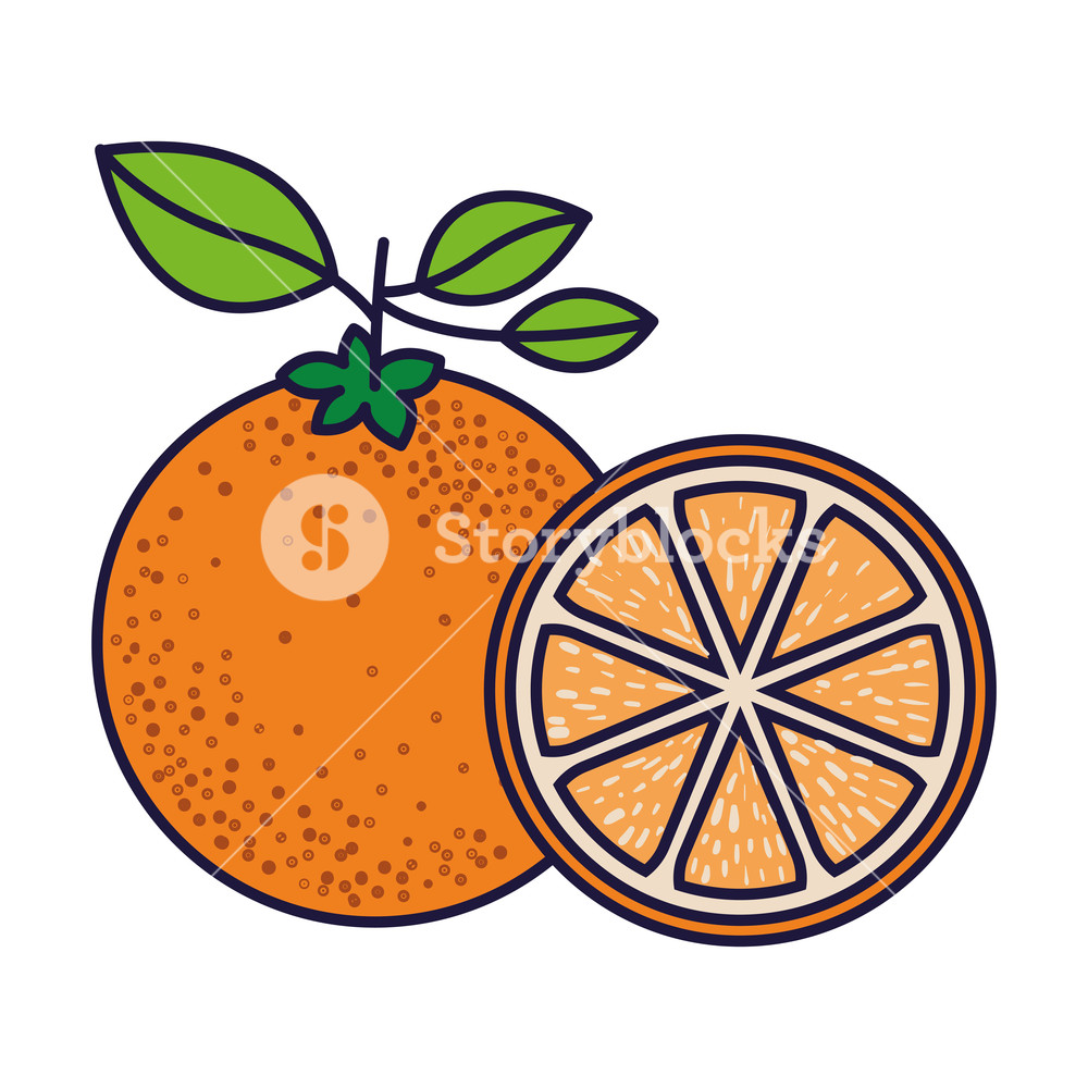 1000x1000 White Background With One Orange Fruit And Orange Slice Vector