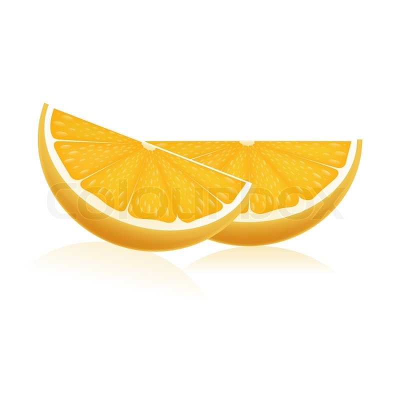 800x800 Illustration Of Orange Slices On Stock Vector Colourbox