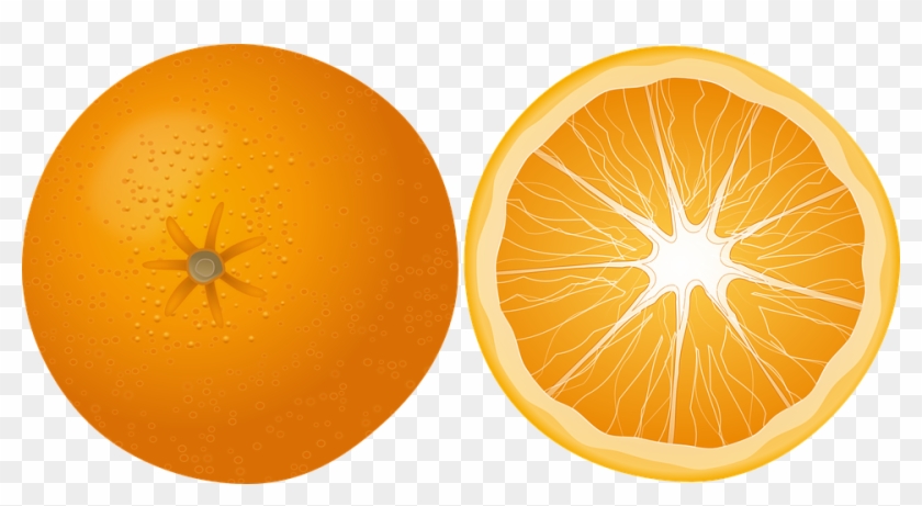 840x461 Orange Clipart Vector