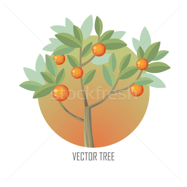 Orange Tree Stock Photos, Stock Images And Vectors Stockfresh 600x600 Orange Tree Stock Photos, Stock Images And Vectors Stockfresh