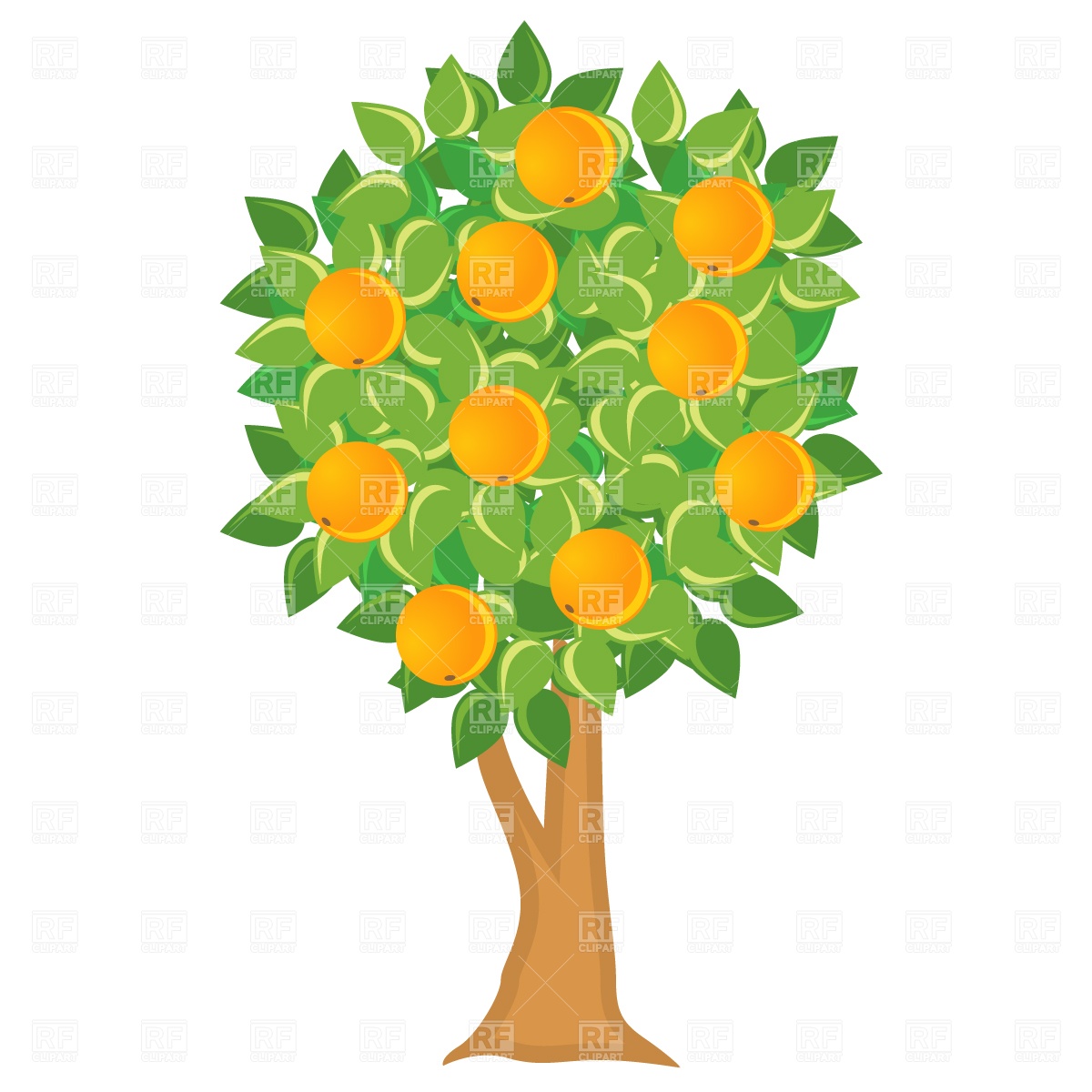 Orange Tree Vector Image Of Plants And Animals Prague 1200x1200 Orange Tree Vector Image Of Plants And Animals Prague