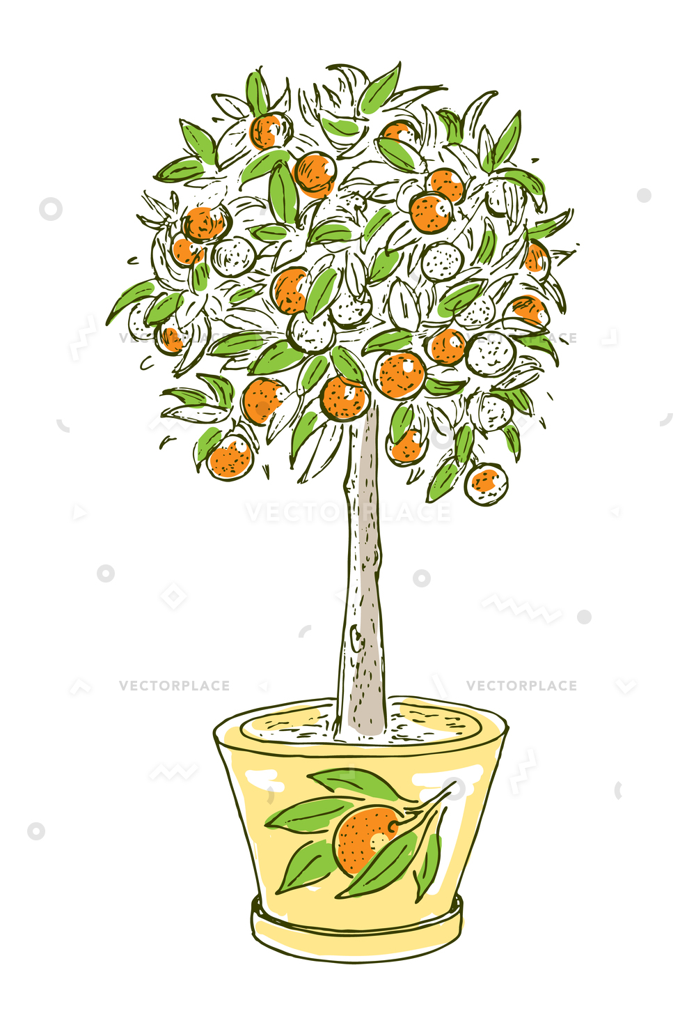 Colorful Drawing Citrus Fruit Concept Blooming Vector Illustration 1000x1471 Colorful Drawing Citrus Fruit Concept Blooming Vector Illustration