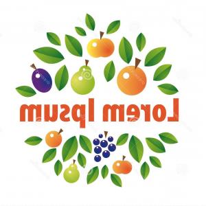 Mandarin Tree Vector Illustration Ripe Fruit Orange Plant Flat 300x300 Mandarin Tree Vector Illustration Ripe Fruit Orange Plant Flat