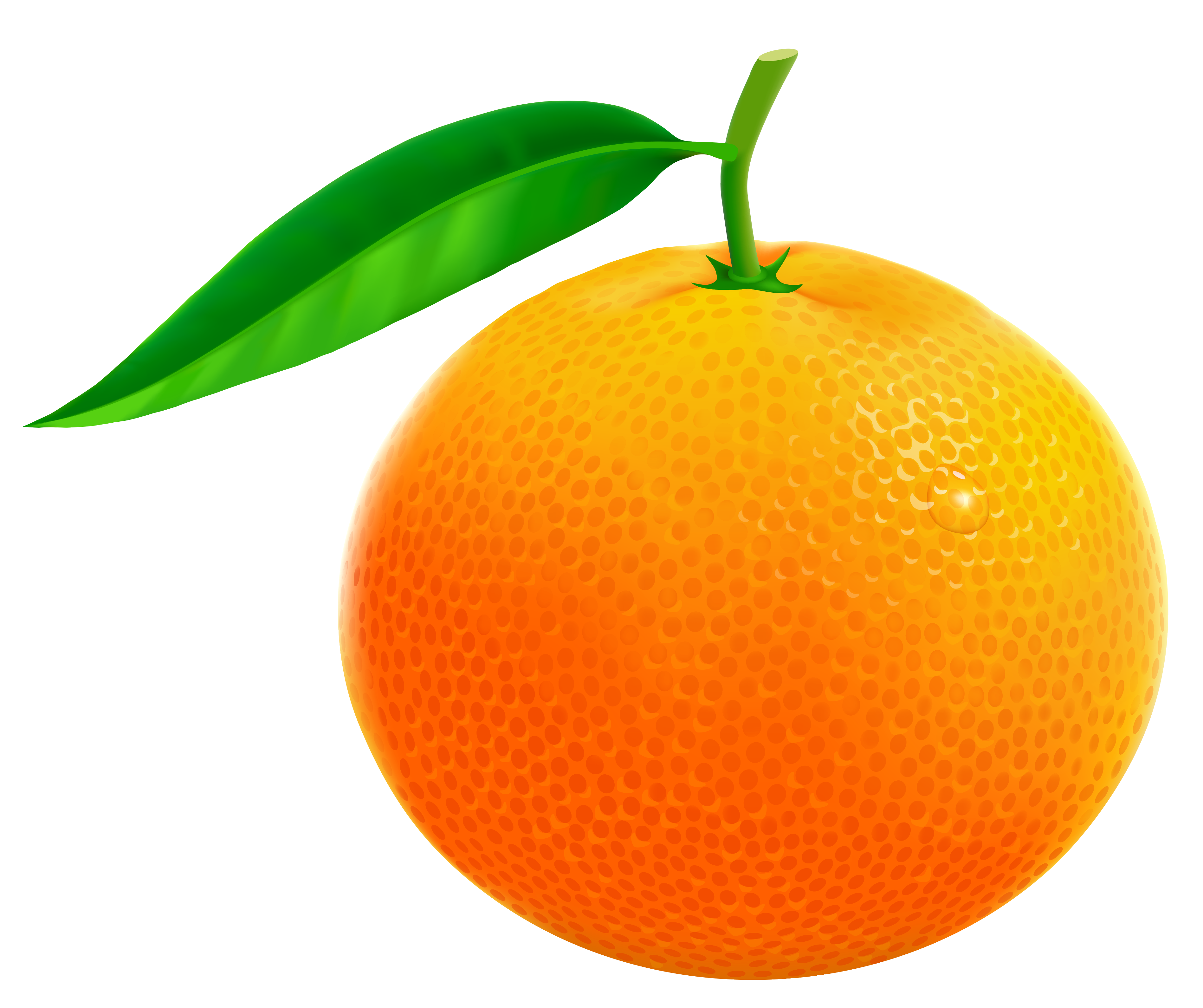 3795x3179 Orange Png Vector Clipart