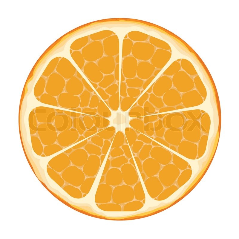 800x800 Orange Slice Vector Art Stock Vector Colourbox