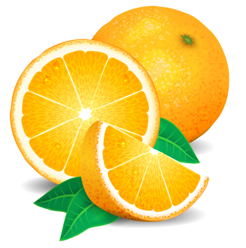 507x511 Fresh Orange Vector Free Download