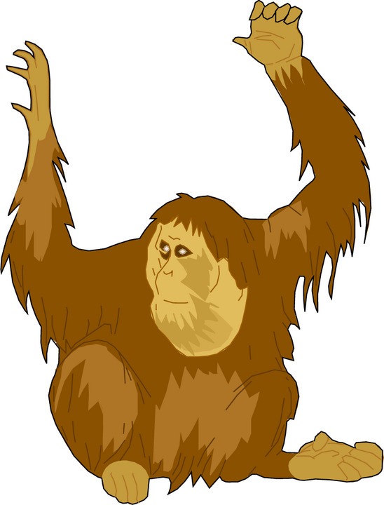 548x720 Huge Collection Of 'orangutan Clipart' Download More Than