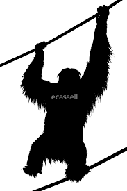 183x275 Image Result For Orangutan Silhouette Karl Orangutan