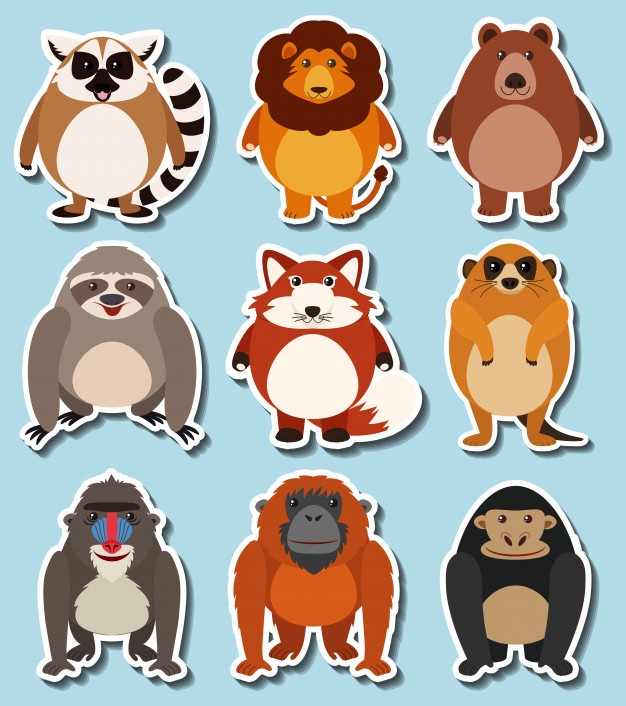 626x706 Orangutan Vectors, Photos And Free Download