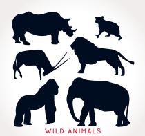 210x197 Orangutans Free Vector Graphic Download