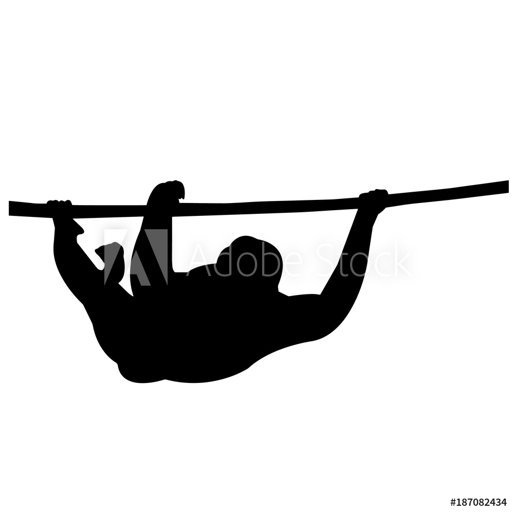 1000x1000 Photo Art Print Orangutan Silhouette Vector Graphics Europosters