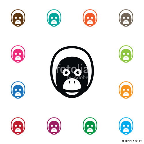 500x500 Isolated Baboon Icon Orangutan Vector Element Can Be Used