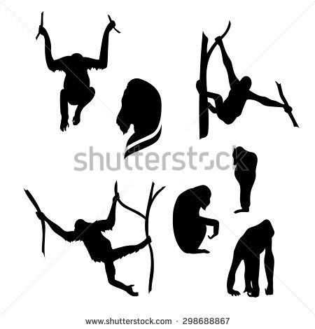 450x470 Orangutan Isolated Stock Vectors Vector Clip Art Shutterstock