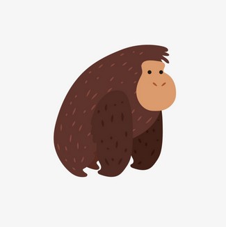 325x326 Orangutan Png
