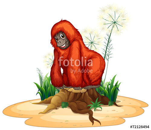 500x430 Orangutan Stock Image And Royalty Free Vector On Fotolia