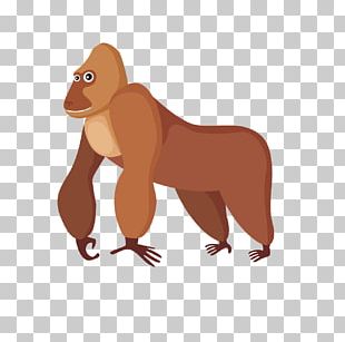 310x307 Orangutan Vector Png Images, Orangutan Vector Clipart Free Download