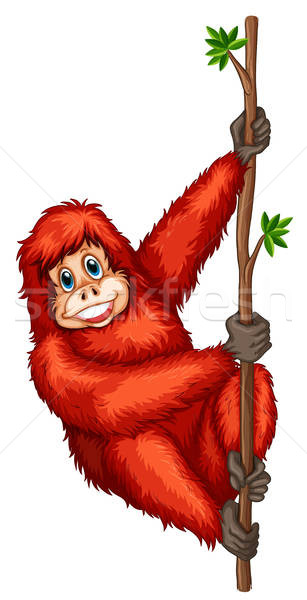 Orangutan Vector at Vectorified.com | Collection of Orangutan Vector ...