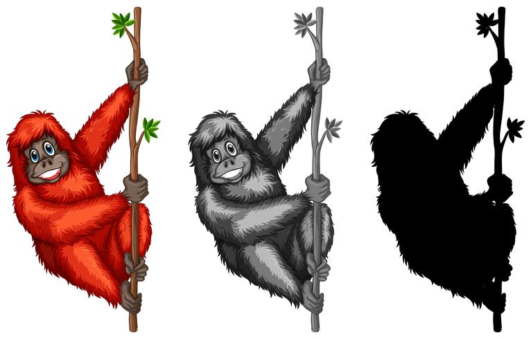 766x490 Set Of Orangutan Character