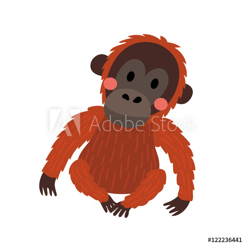 500x500 Sitting Orangutan Animal Cartoon Character Isolated On White