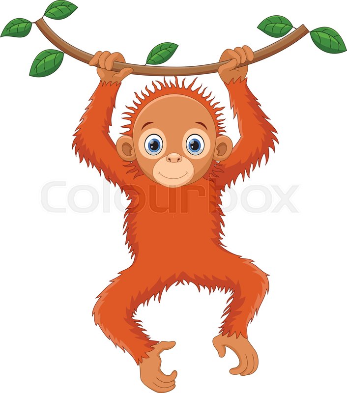 706x800 Vector Illustration Of Cute Orangutan Stock Vector Colourbox