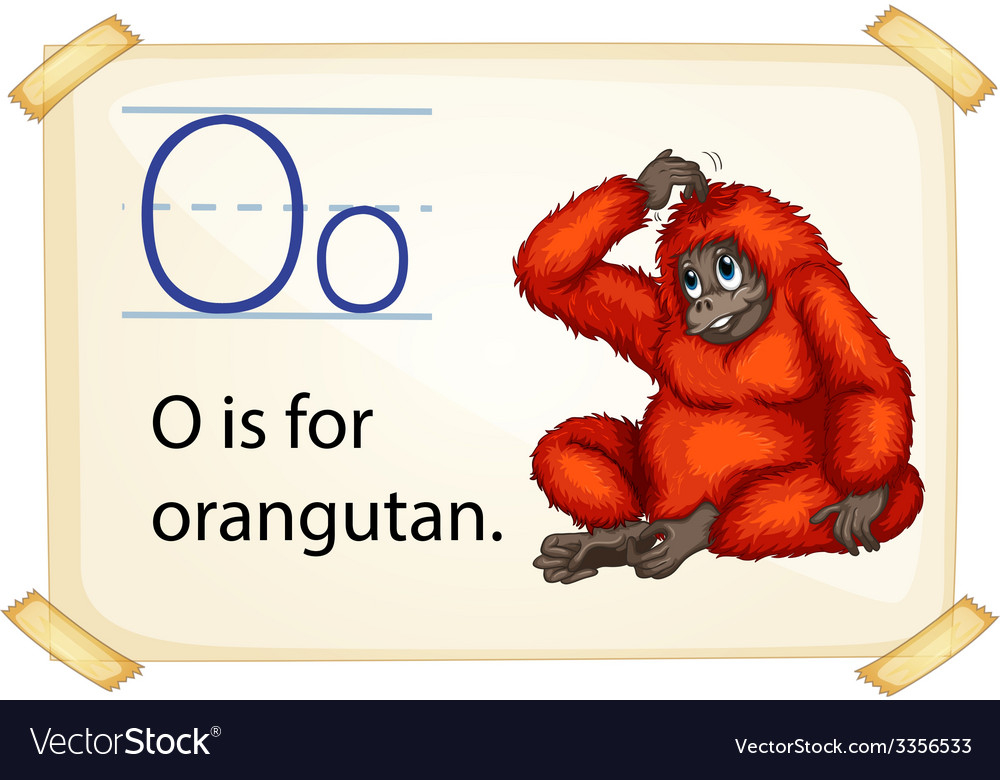 1000x780 Orangutan Vector Free Brepps Wallpaper