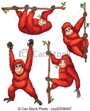 381x470 Vector Of Orangutan
