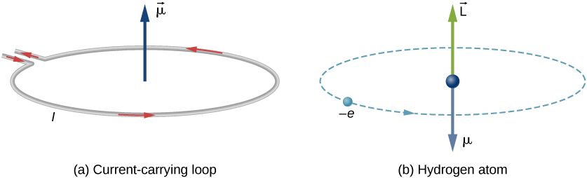 837x254 Orbital Magnetic Dipole Moment Of The Electron