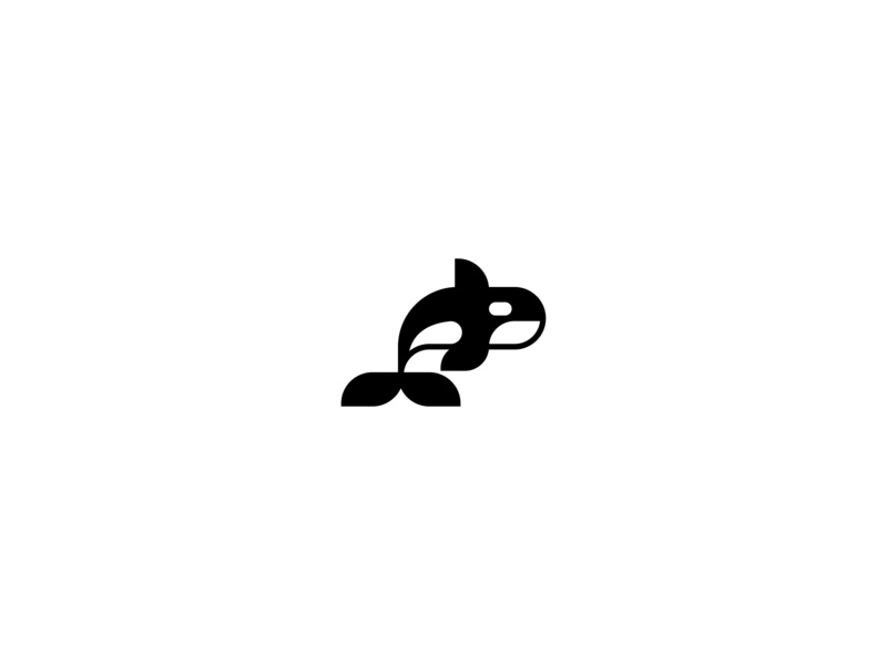 800x600 Orca Logo