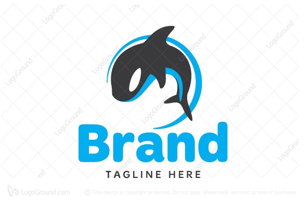 600x400 Cute Orca Logo