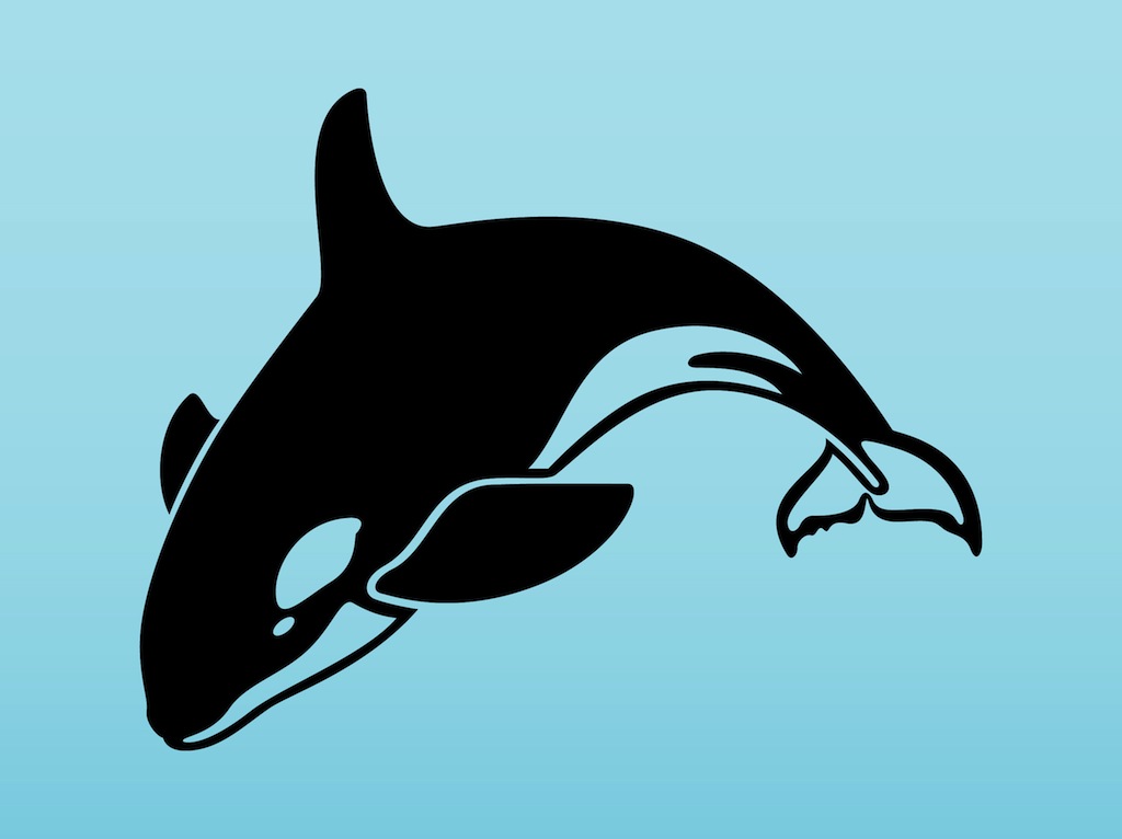 1024x766 Orca Vector Vector Art Graphics