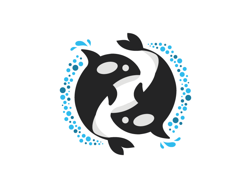 800x600 Orca Yin Yang Logo