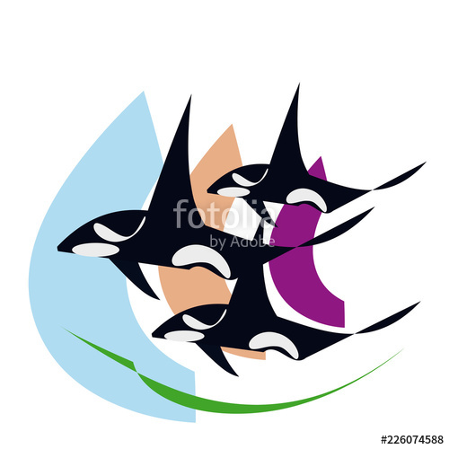 500x500 The Killer Whale, Orca, Logo Design, Template Stock Image